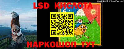 амф Камышлов