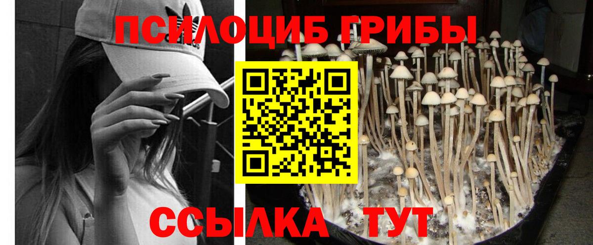 Галлюциногенные грибы мицелий Новороссийск